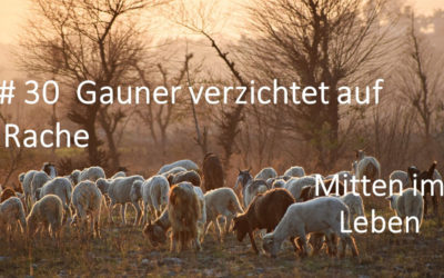 Gauner verzichtet auf Rache